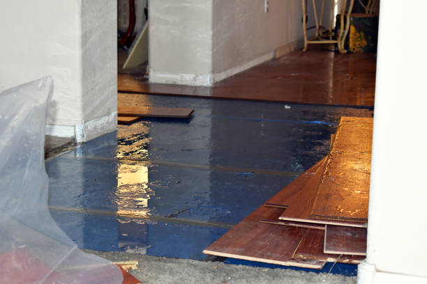 Professional Flood Cleanup technician working in Long Beach, IN